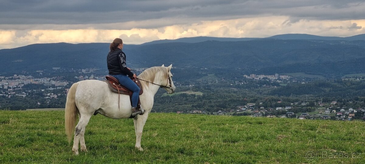 Částečný pronájem