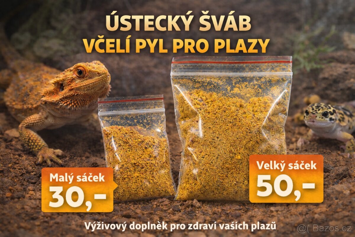 Včelí Pyl