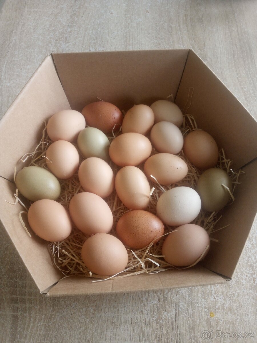 Domácí vajíčka