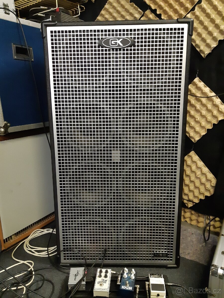 Gallien Krueger Neo 810