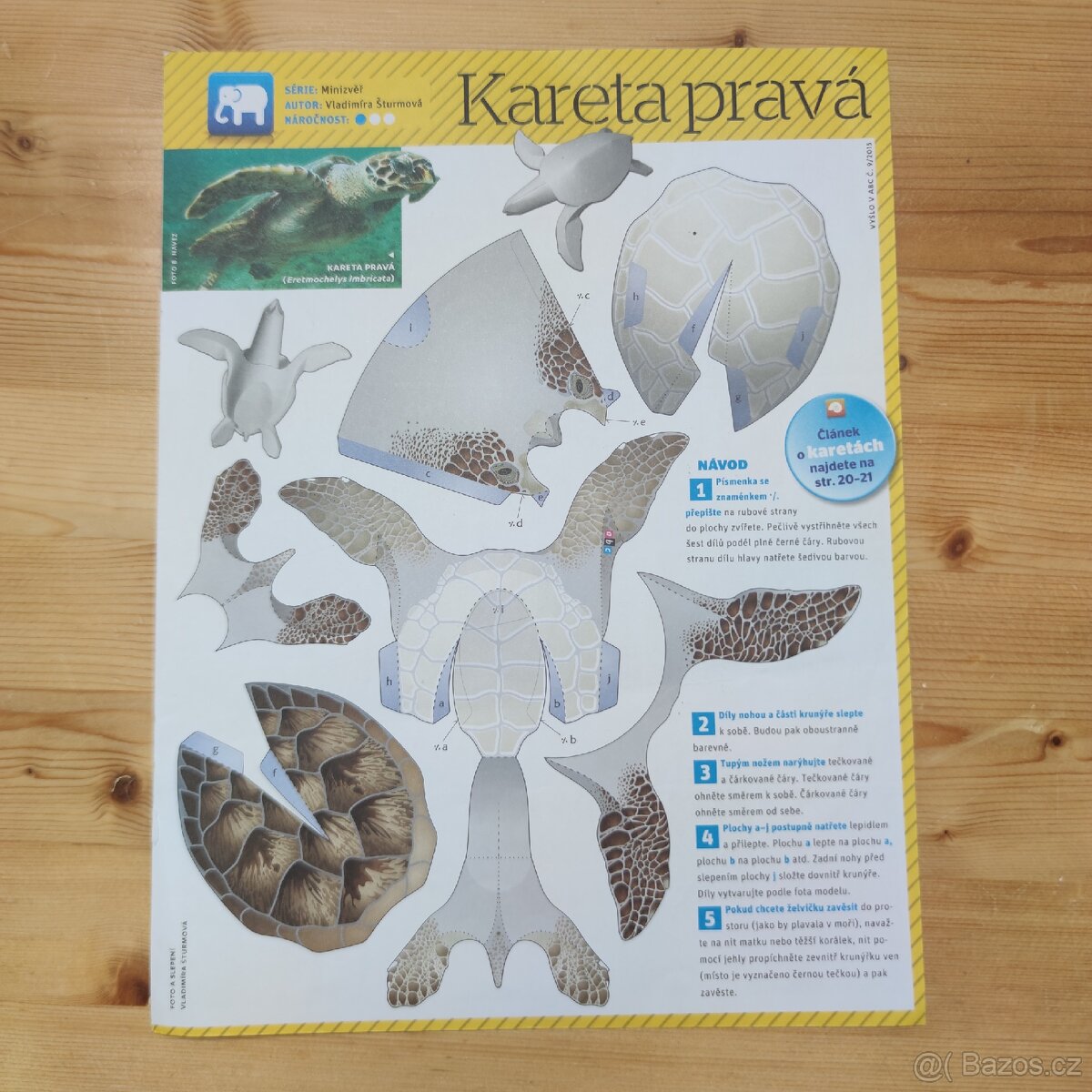 Vystřihovánka mořské želvy karety pravé z ABC