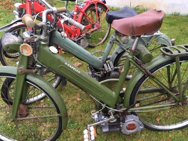 Motokola Mosquito