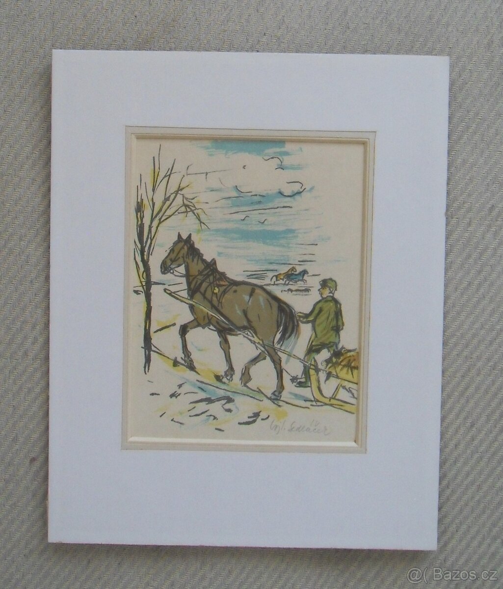 Vojtěch Sedláček - obraz