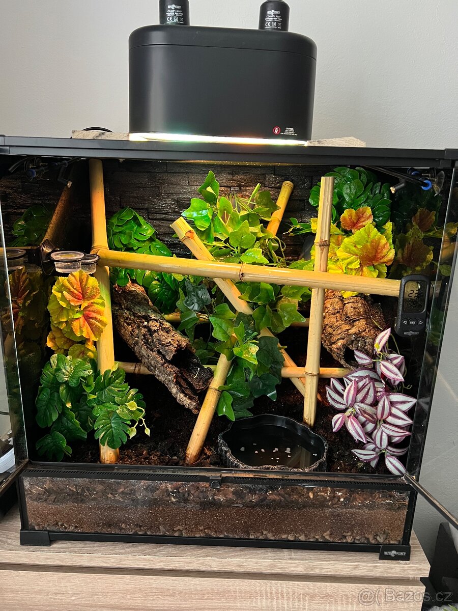 Terarium Reptiplanet 60x45x60
