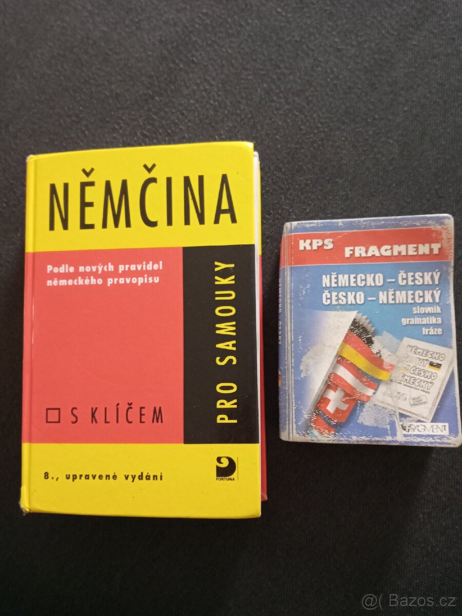 Němčina pro samouky + slovník