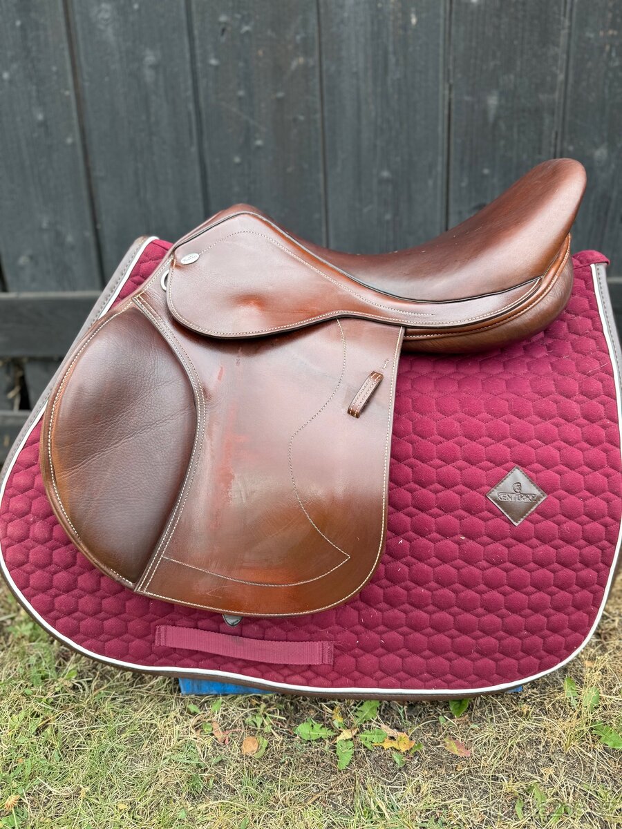 Skokový kentaur naxos