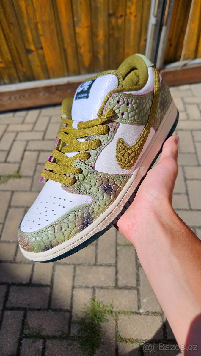 Nike SB dunk Alexis Salbone Chameleon 44