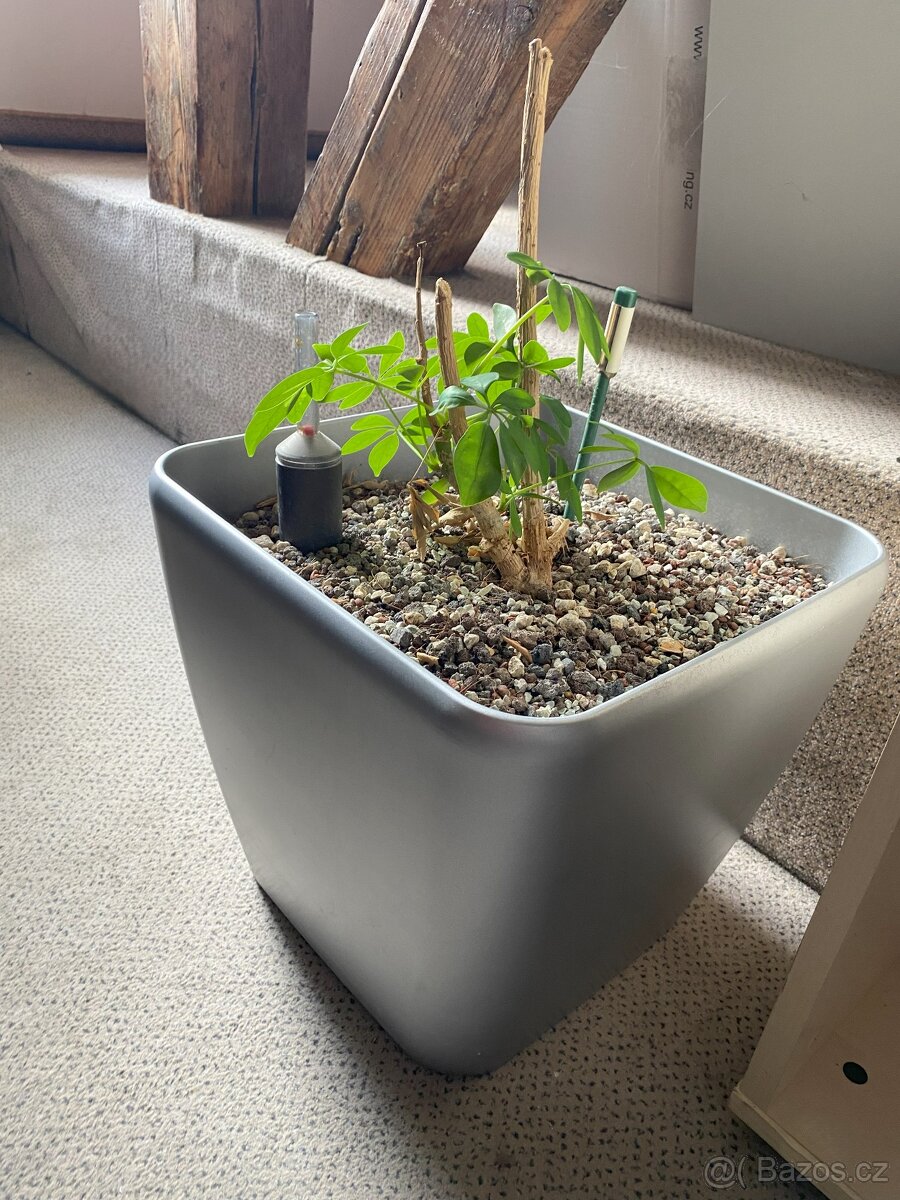 Květináč šedý velký průměr 35 cm