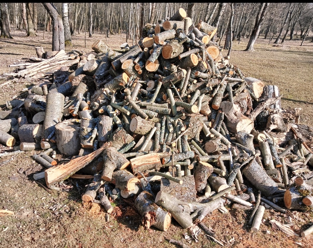 palivové dřevo z listnatých stromů