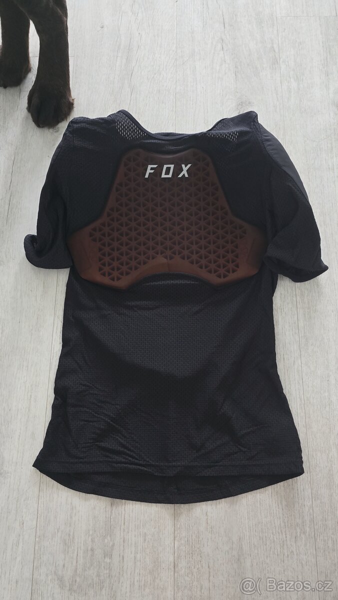 Fox chranic