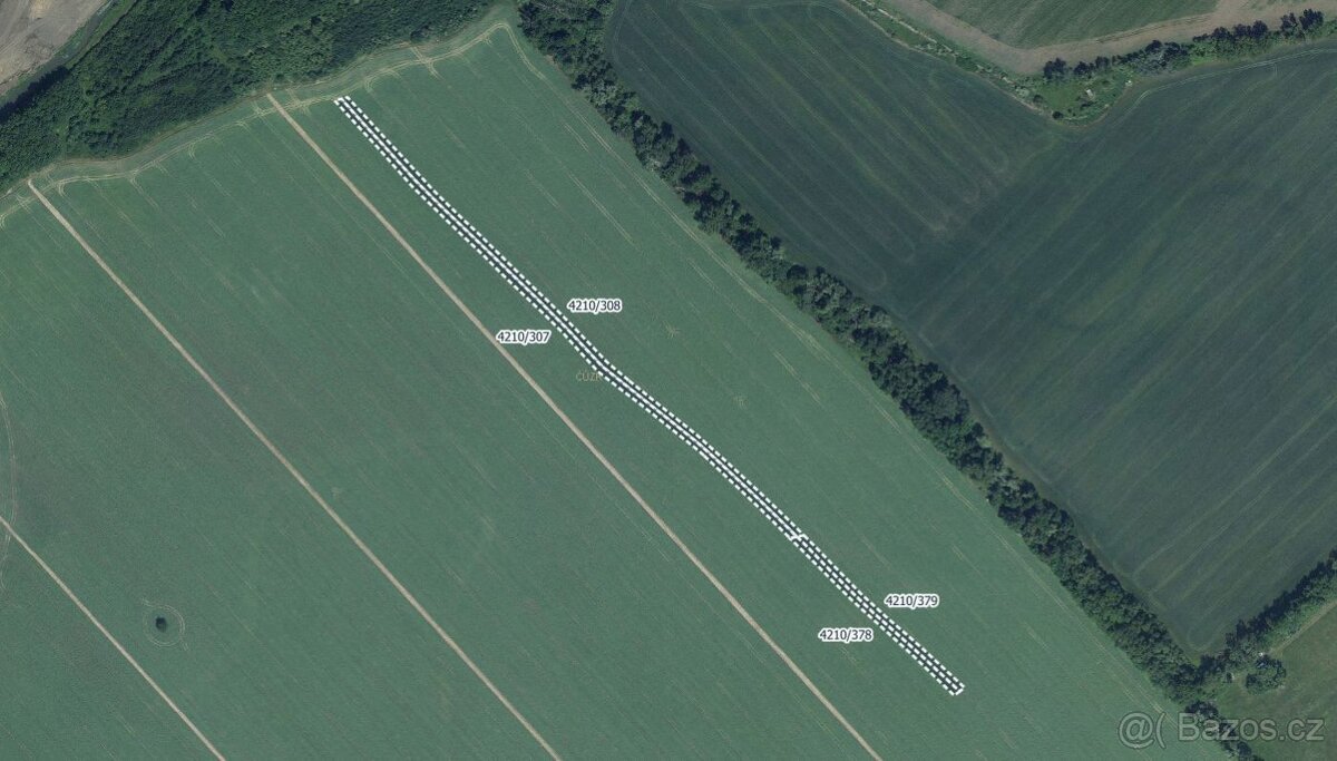 Zemědělská půda, prodej, Moravská Nová Ves, Břeclav