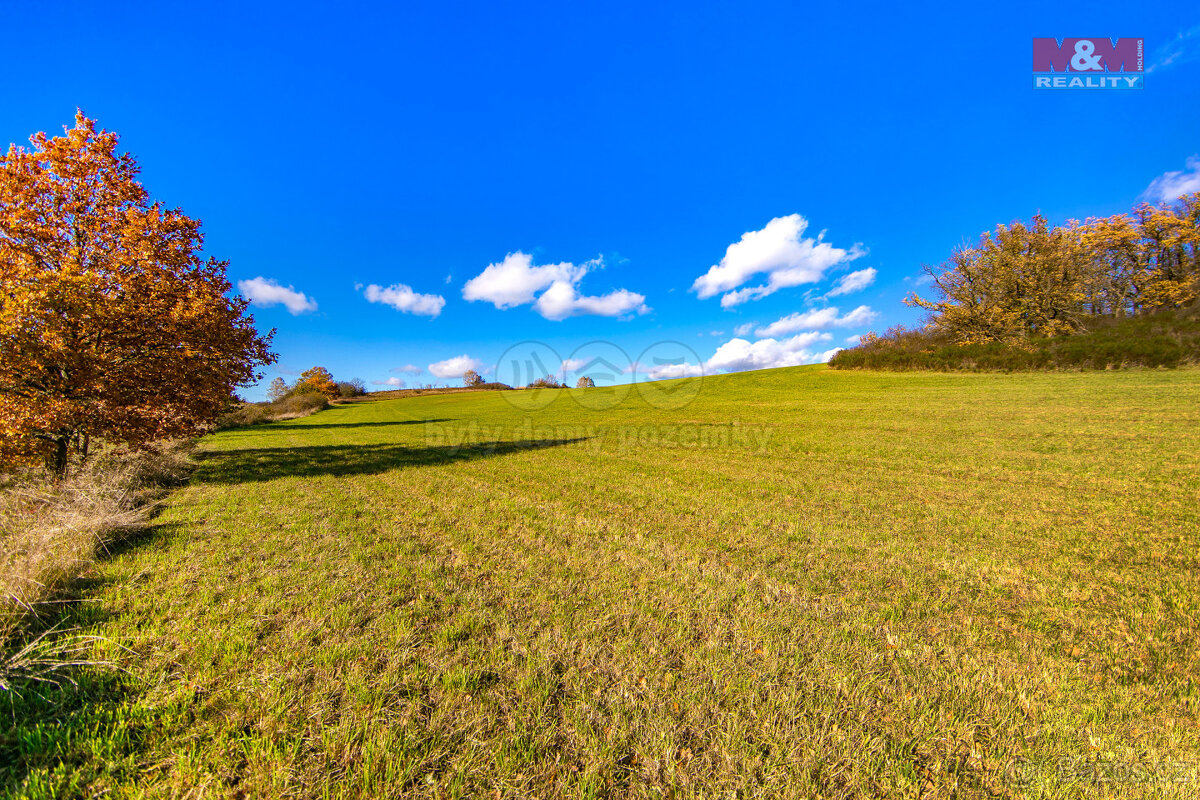 Prodej pole, 6484 m², Kolinec