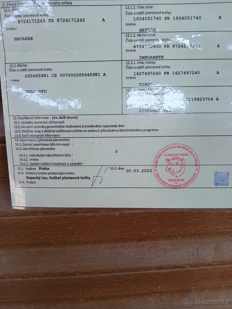 Limousine plemenný býk