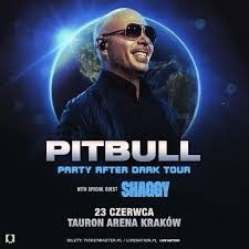 Prodám 2x vstupenky na koncert Pitbulla v Krakově
