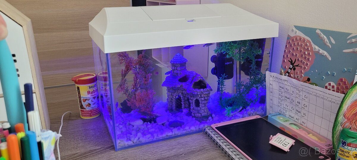Akvarium