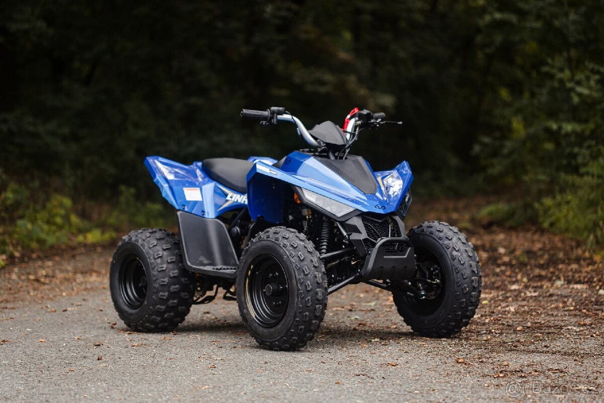 Linhai ATV 110