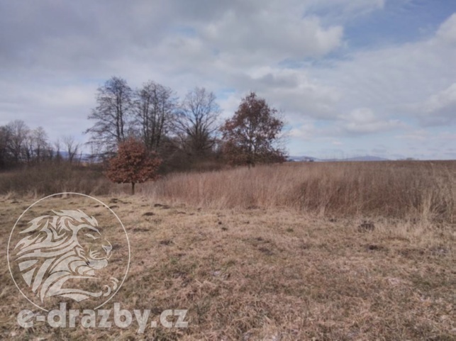 Pozemky o výměře 4609 m2, k.ú. a obci Janovice nad Úhlavou, 