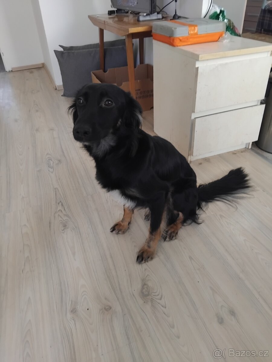 Daruji 8 mesicni stene