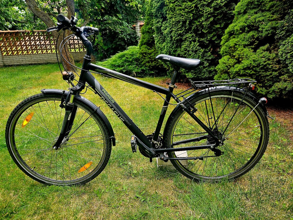 Pánské kolo Pegasus 28