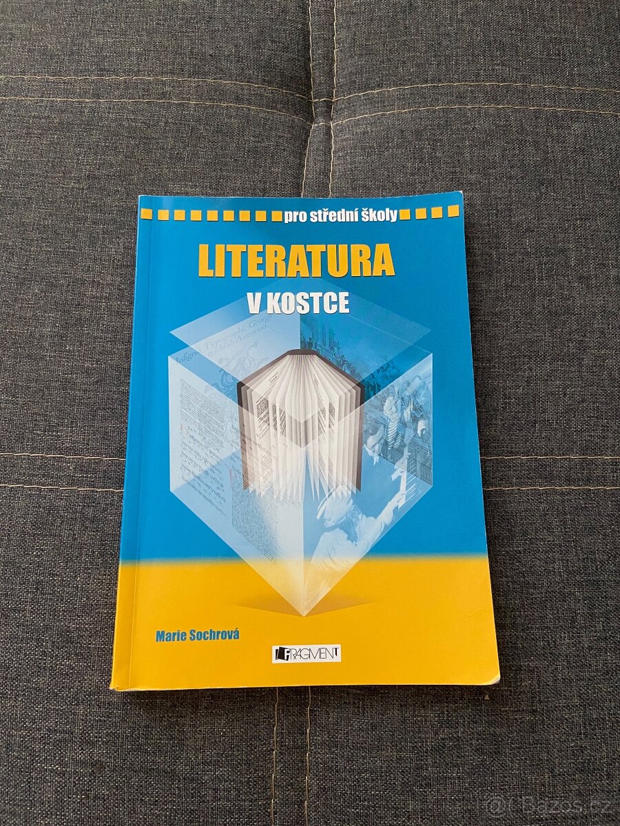 Literatura v kostce