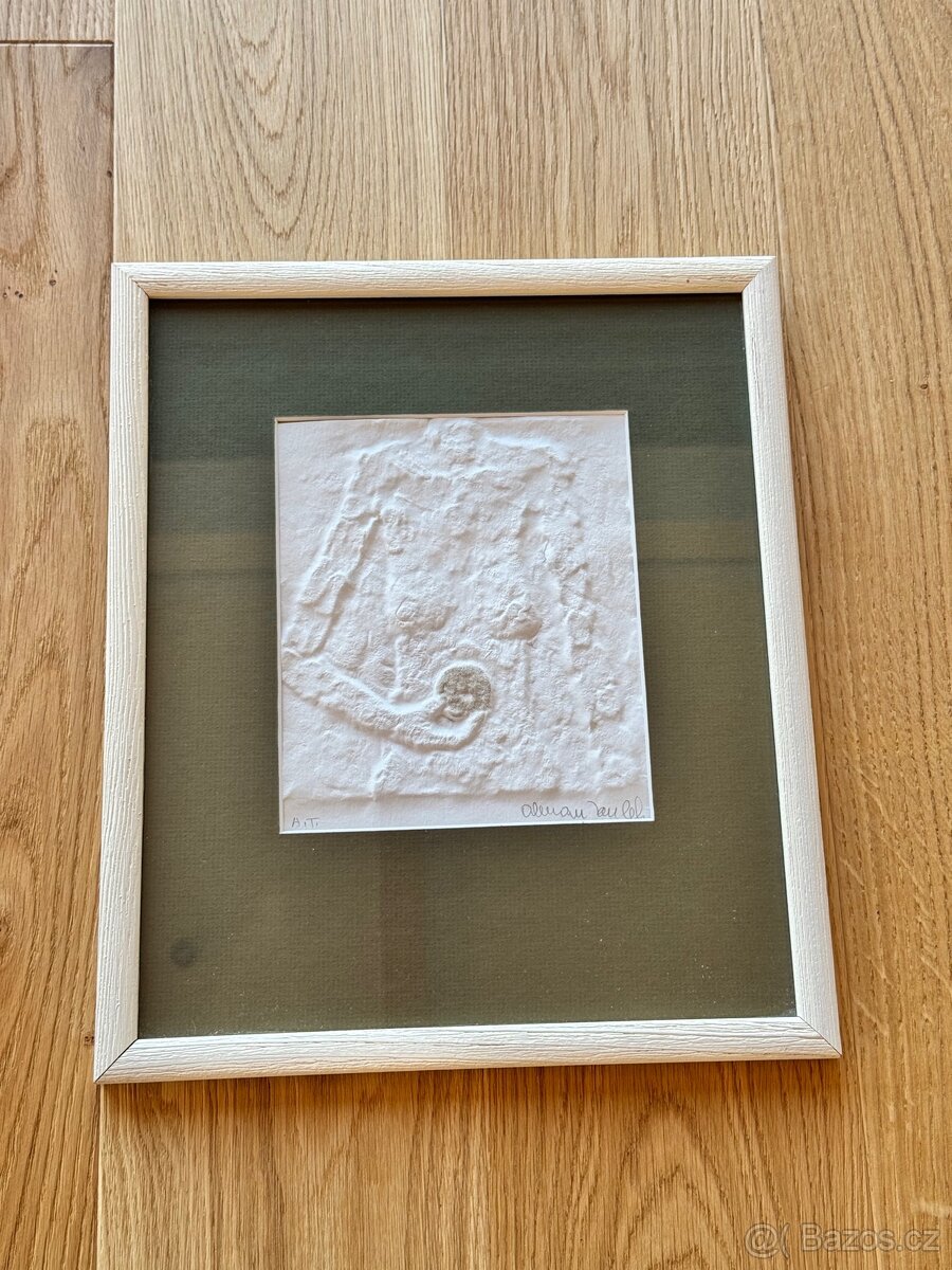 Slepotisk Olbram Zoubek