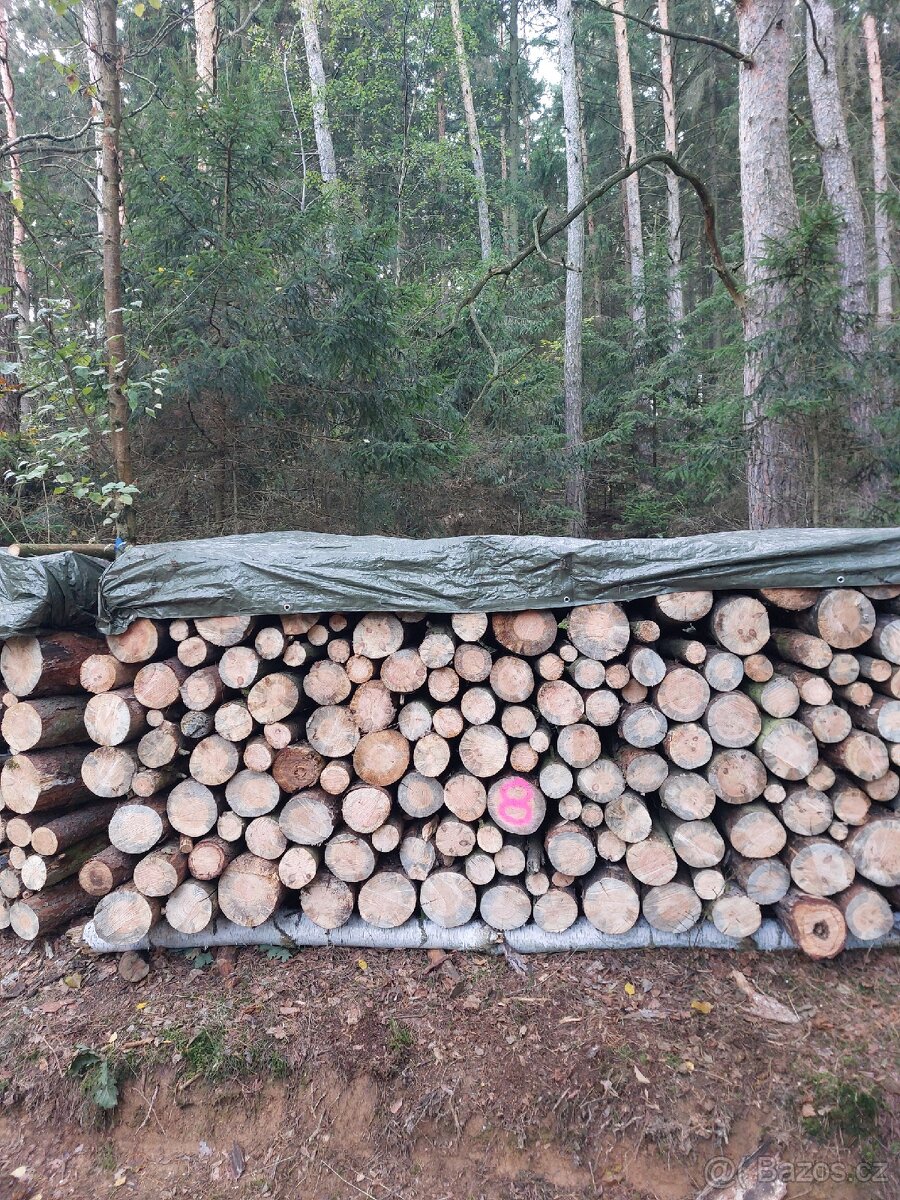 Palivové dřevo "suché"