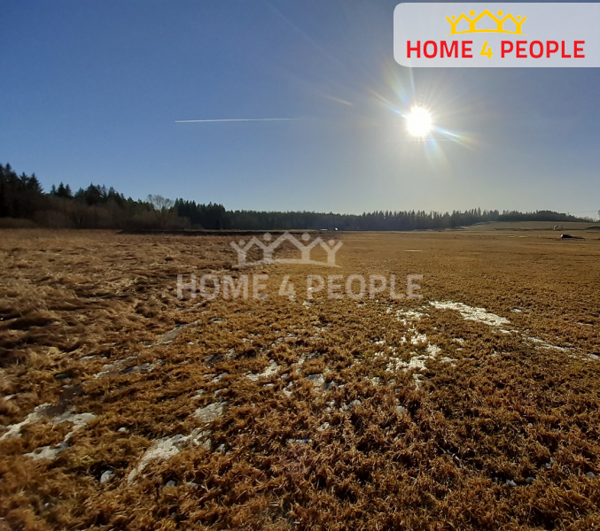 Prodej Pozemku o rozloze 11.835 m2 v obci Černá v Pošumaví.