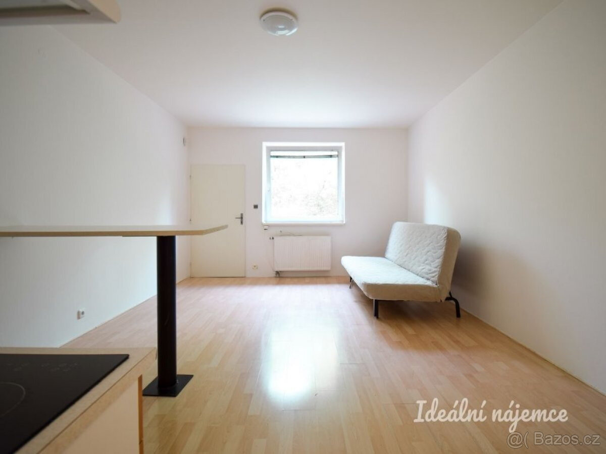 Pronájem bytu 1+kk, bratří Sapáků, Líšeň, 29 m2
