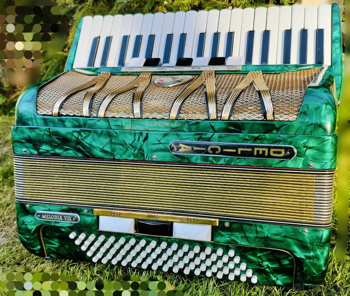 Harmonika Akordeon Delicia Melodia VIII
