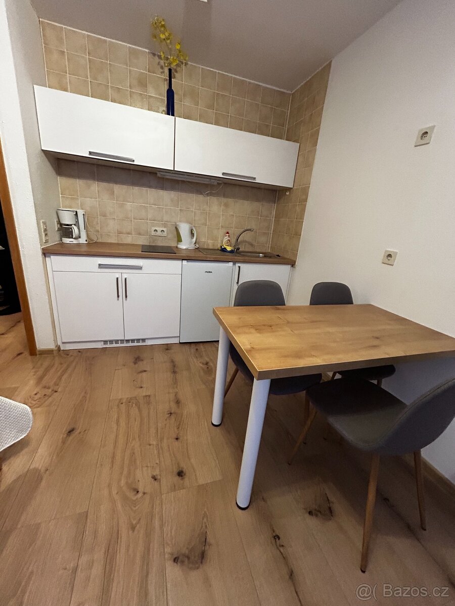 Pronájem apartmánu 1+KK s lodžií v Bavorské Rudě