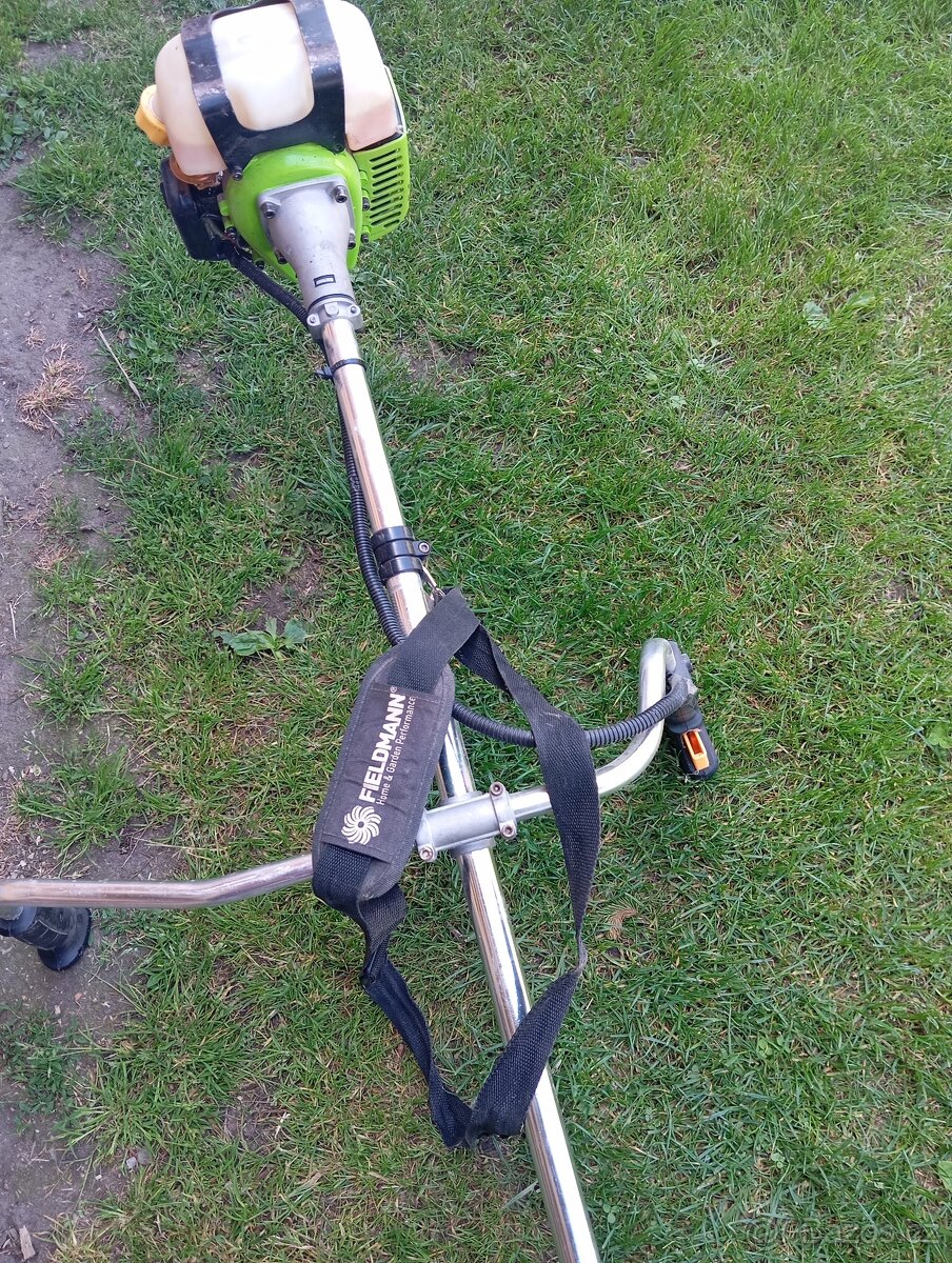 Fieldmann