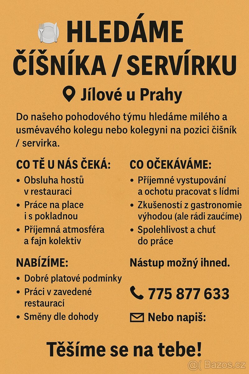 Číšník - Servírka