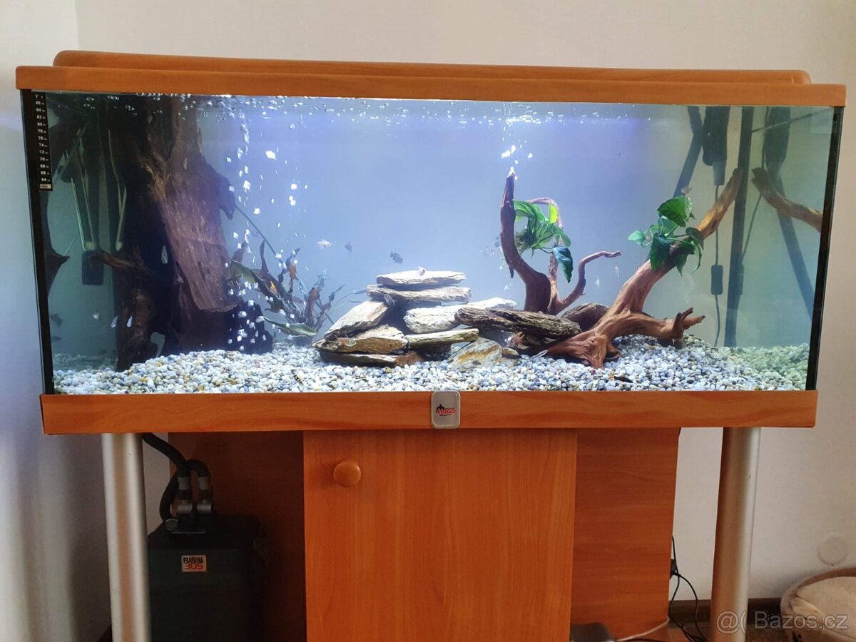 akvárium 240l, filtr+skříňka+osvětlení