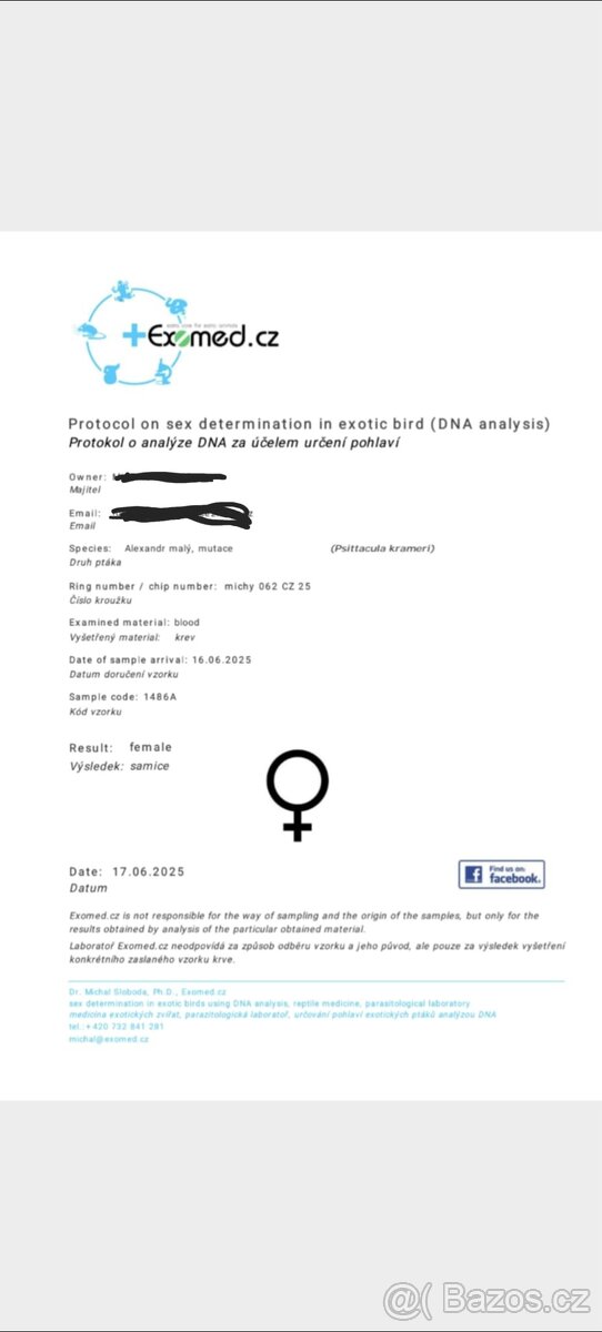 Alexander malý, samice