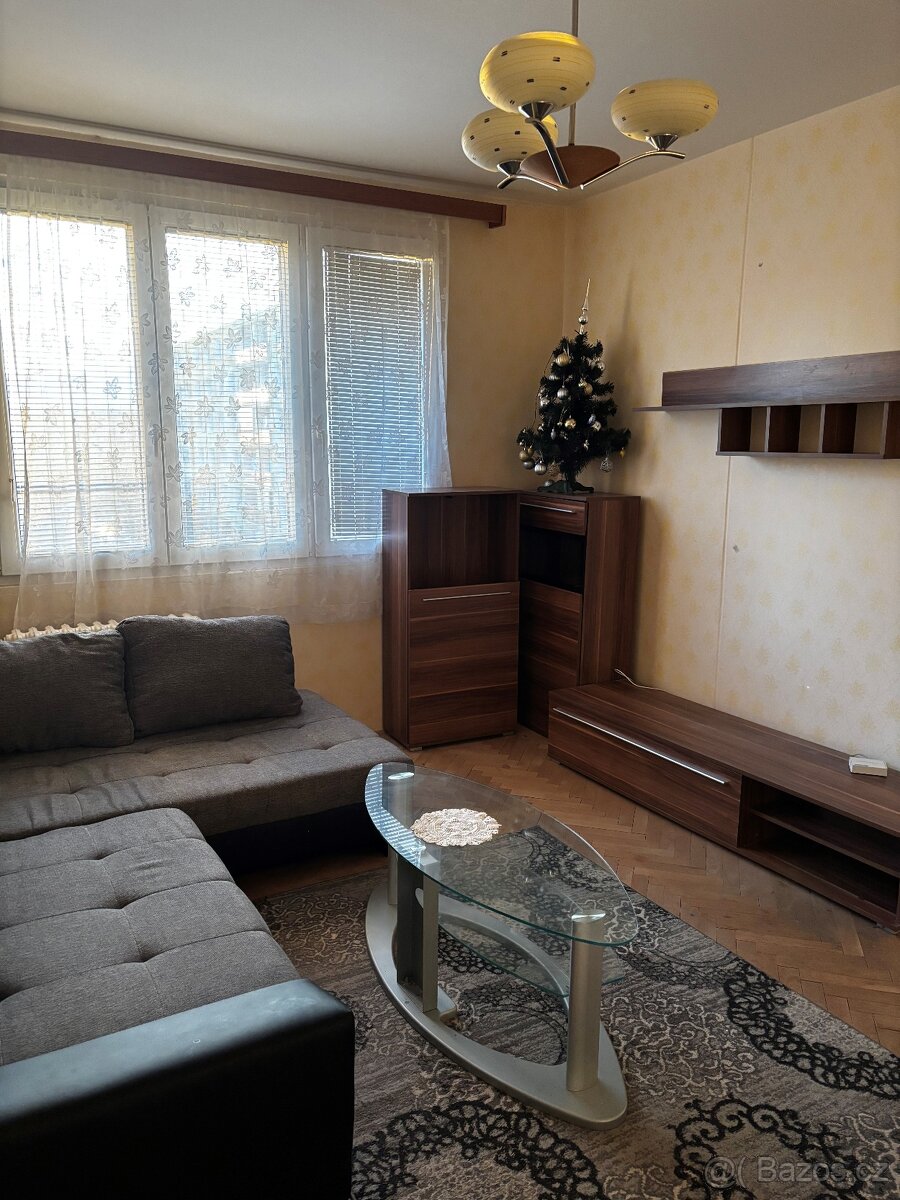Dlouhodobý pronájem bytu 1+1 Plzeň , Bory.