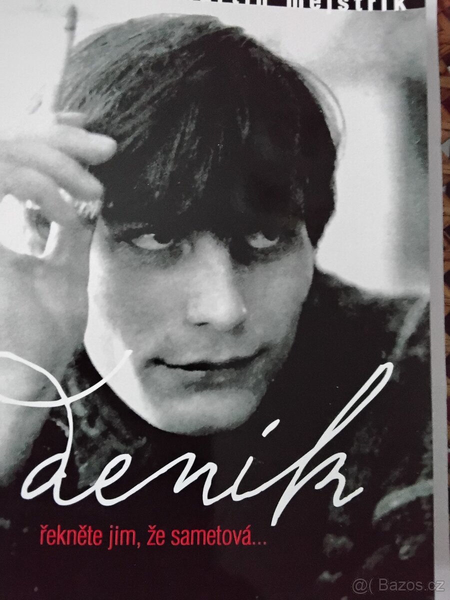 Deník.Autor M.Mejstřík