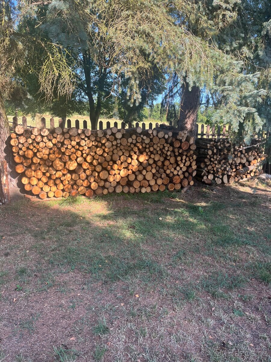 Palivové dřevo