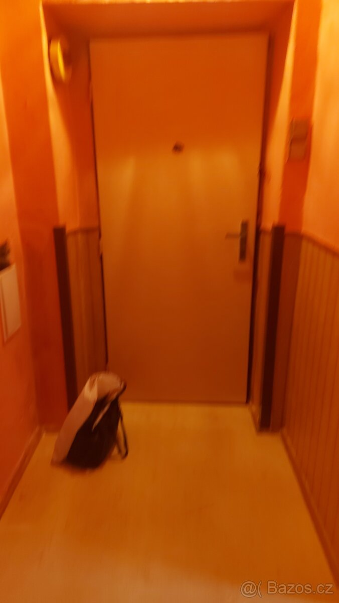 Pronájem bytu 1+1 v Dubí 1