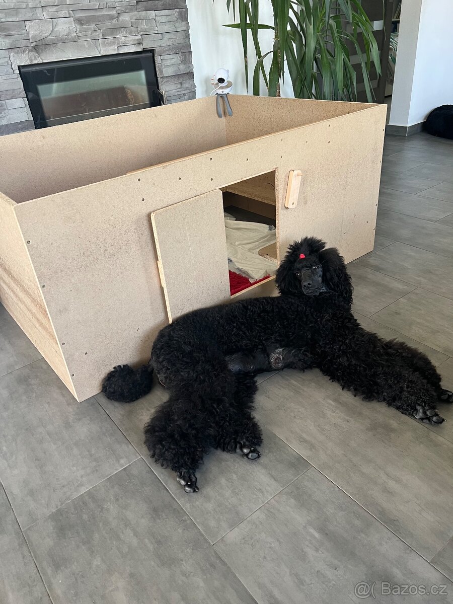 Porodní box