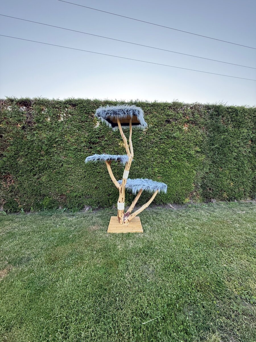 Kočičí strom, škrabadlo