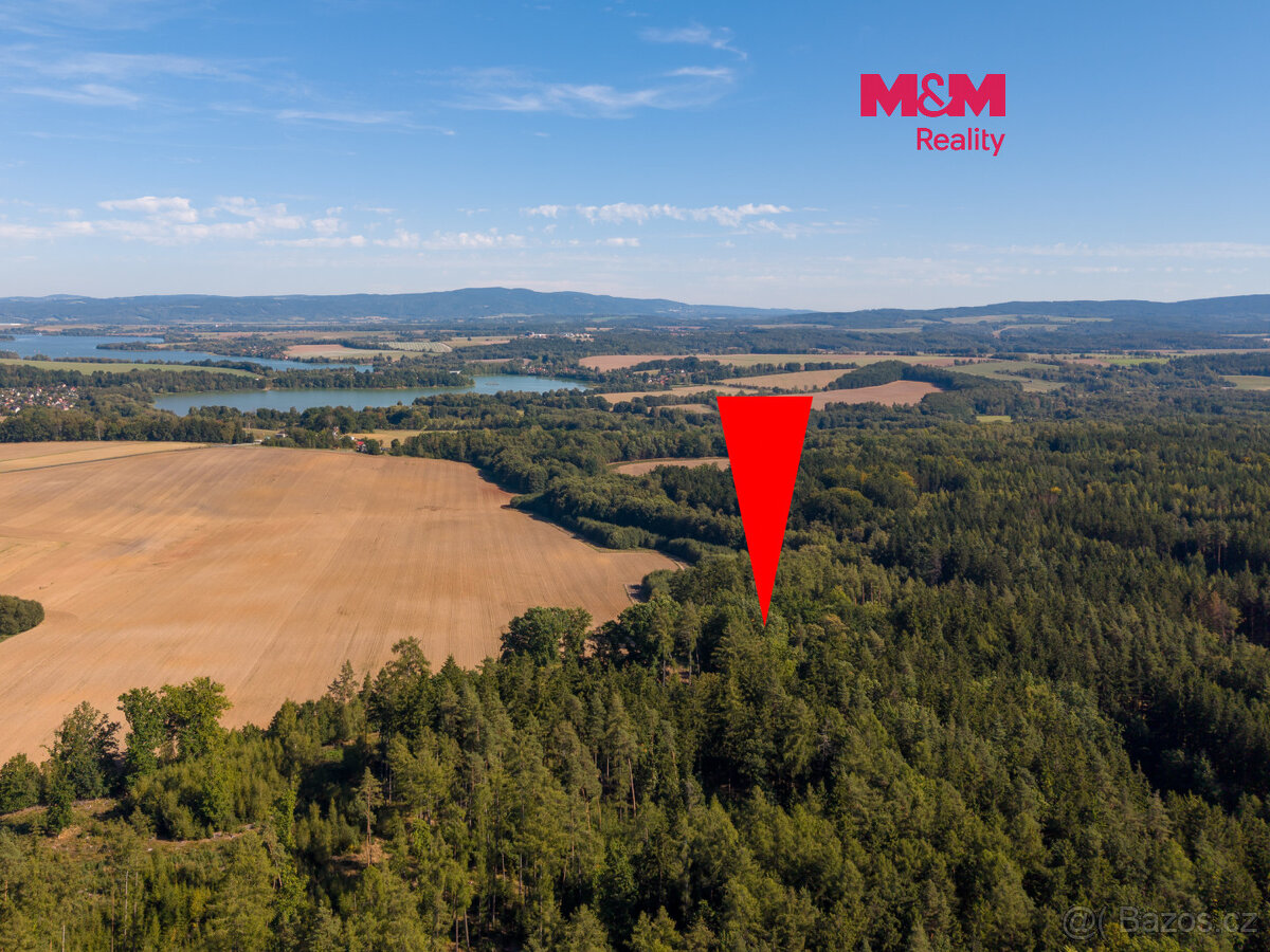 Prodej lesa, 1.757 m², Podhrad, Cheb