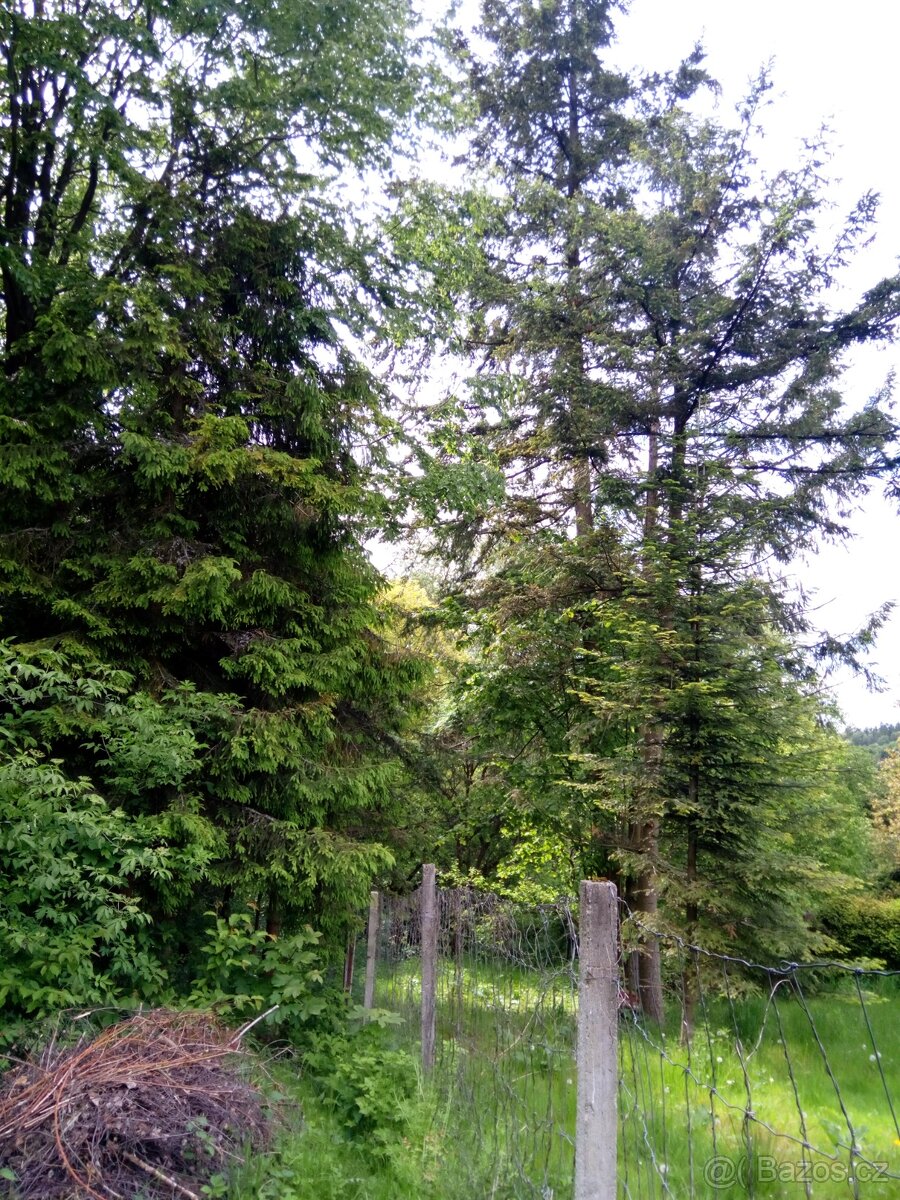 Sovinec-Krizov- pozemek 599 m2