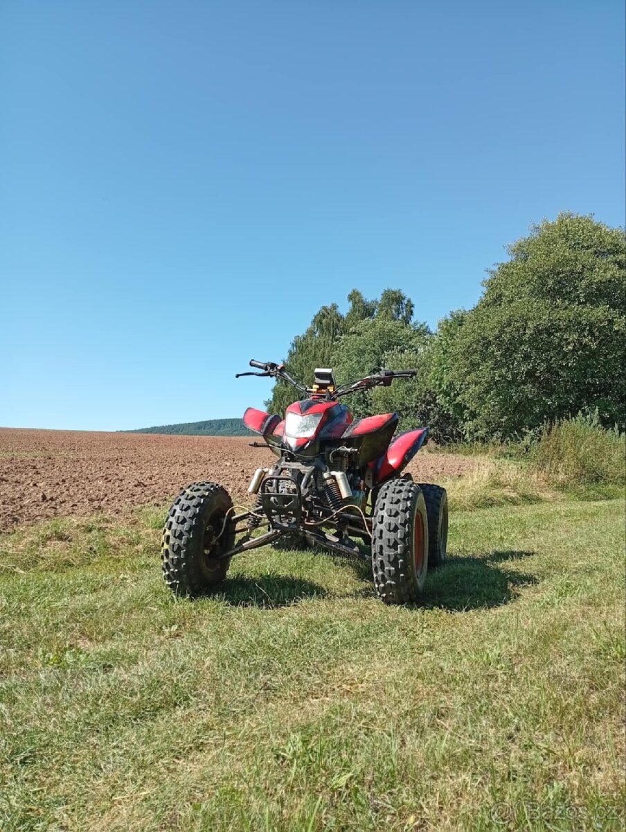 Bashan 250