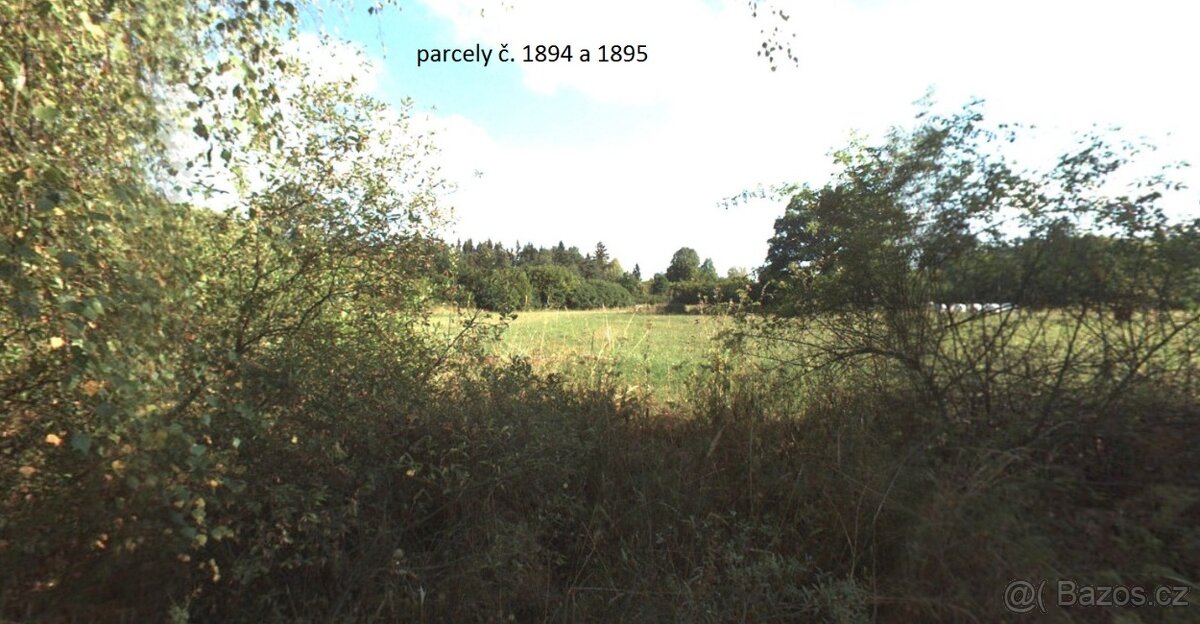 Kousek přírody na prodej – 2 967 m² u lesa, Strážovice