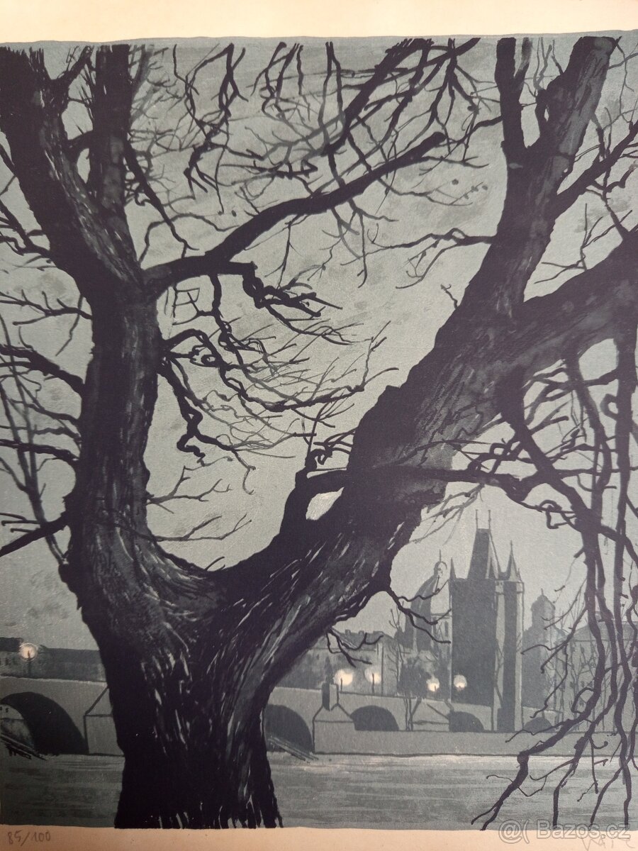 prodám obraz kresba/malba/litografie