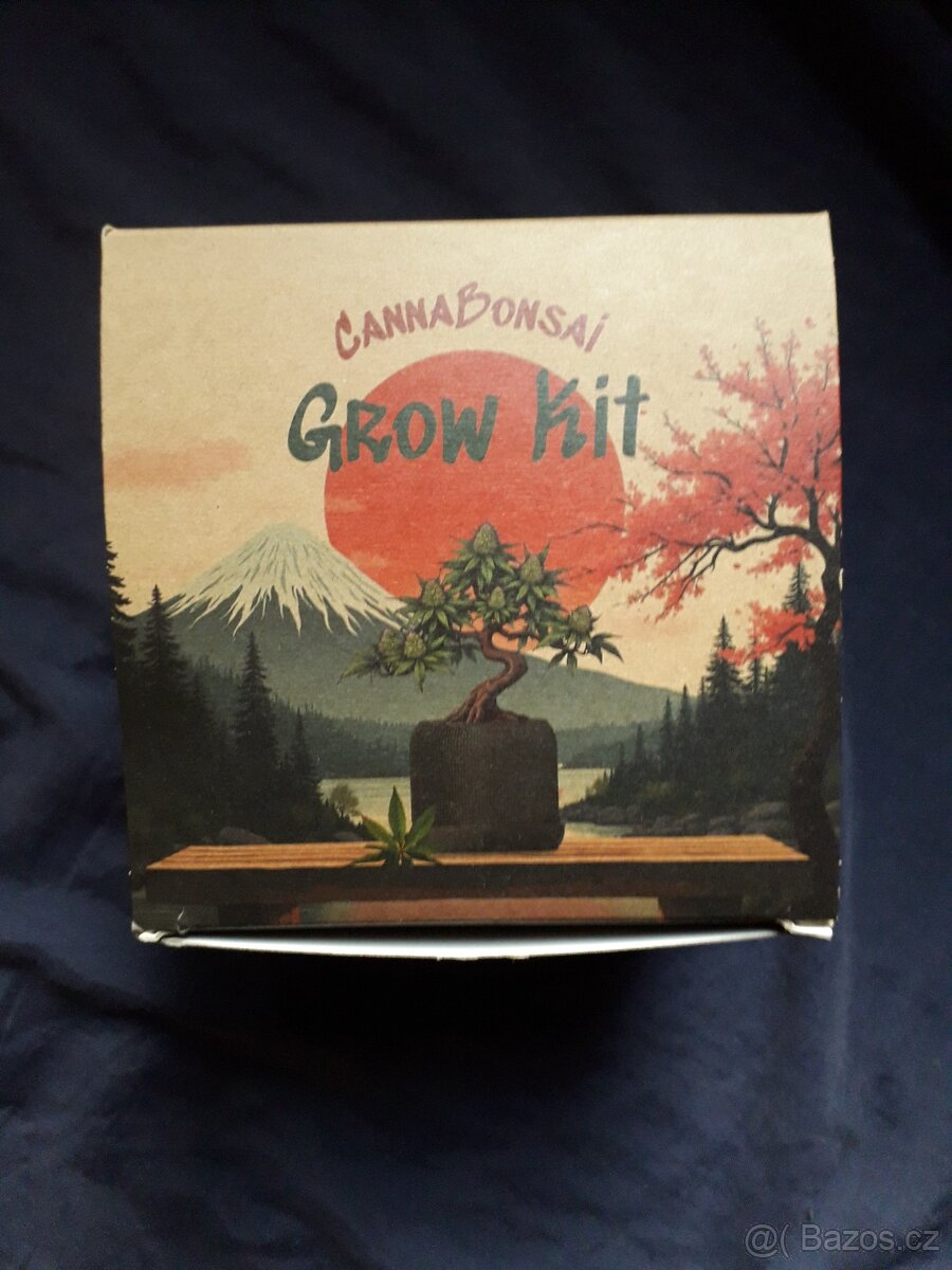 Canna bonsai grow kit