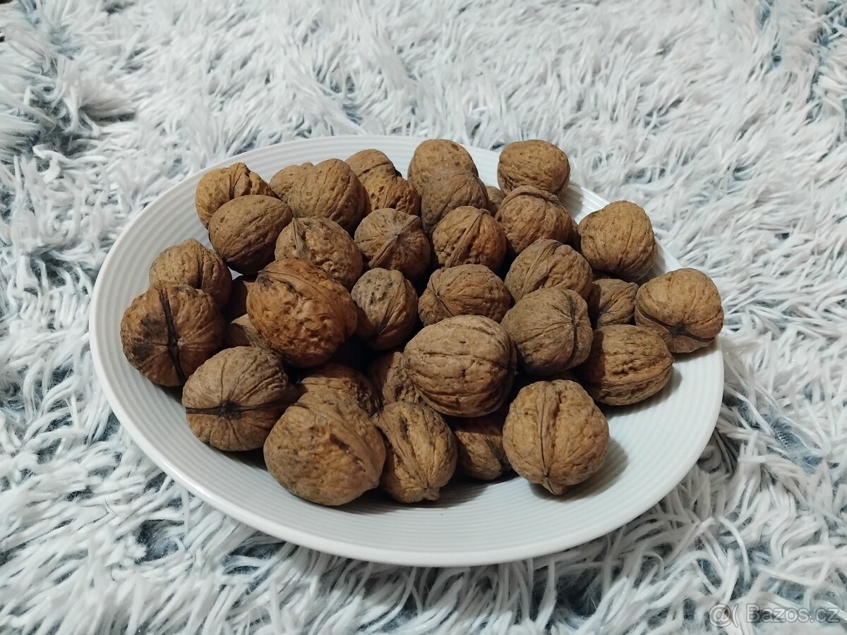 Prodám nevyloupané vlašské ořechy