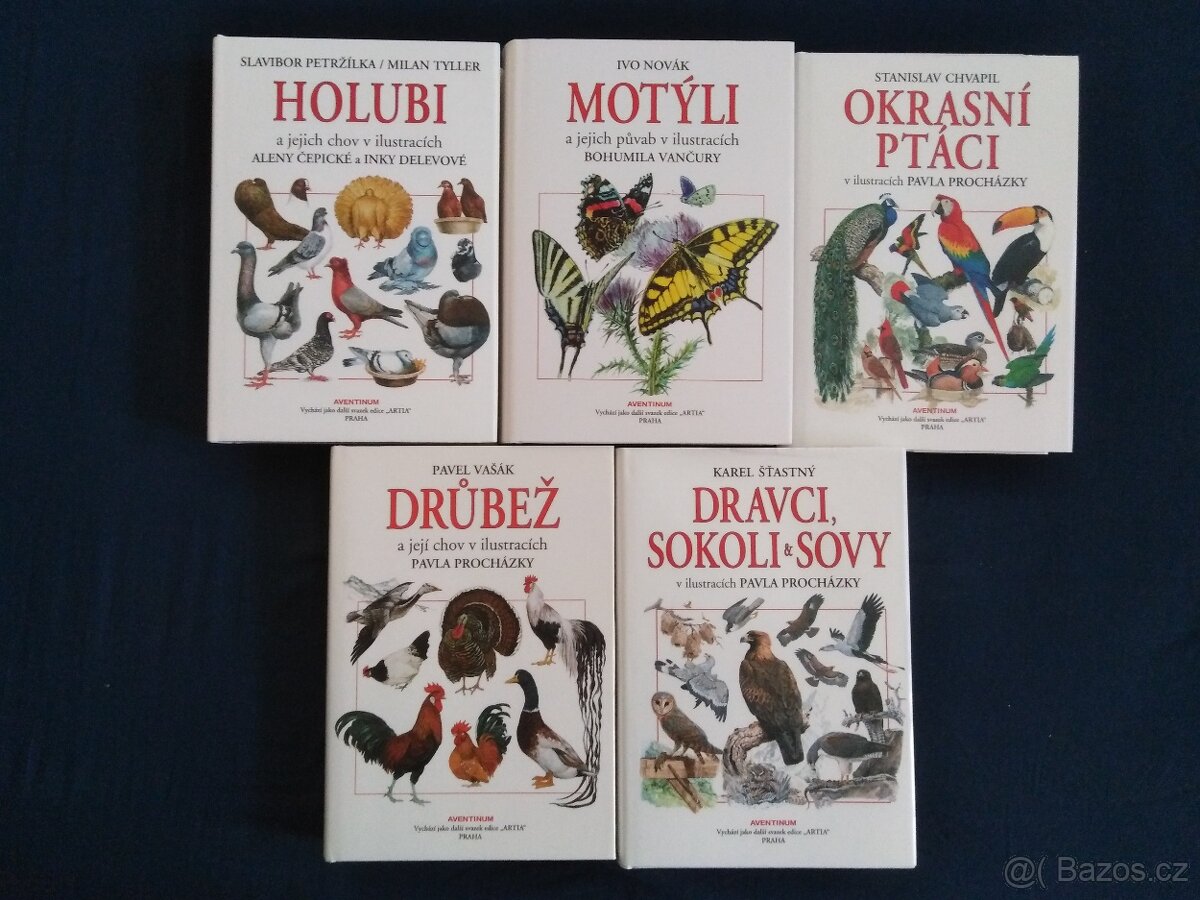 Okrasní ptáci, Holubi, motýli, drůbež