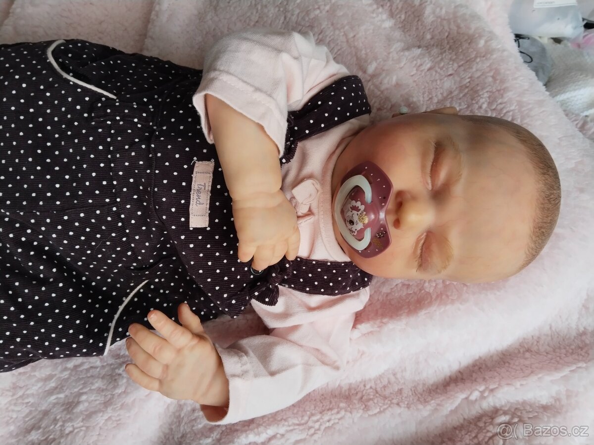 Reborn holcicka