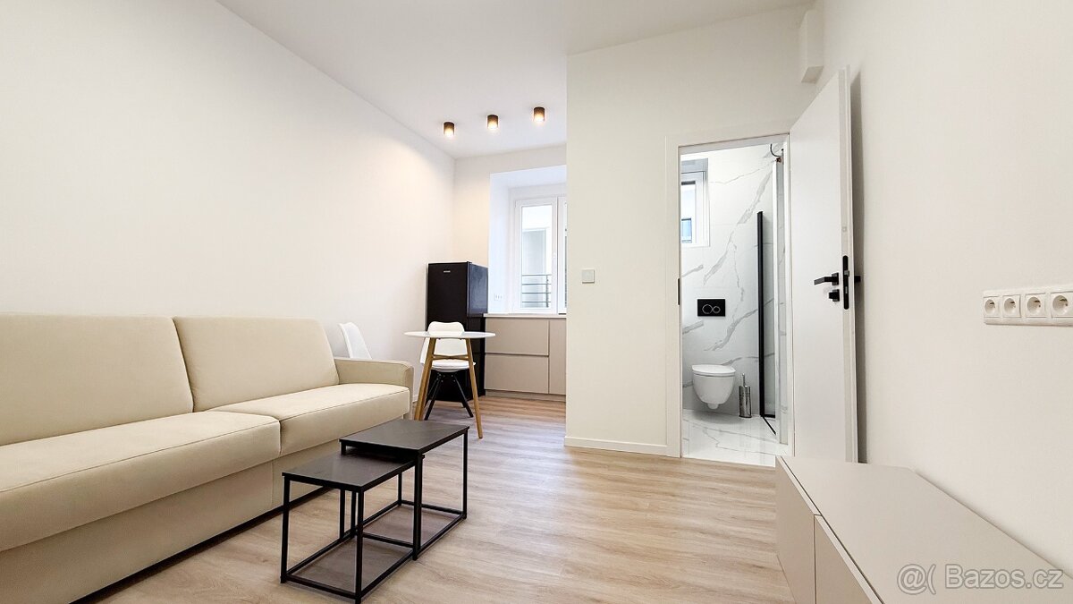 Pronajem bytu 1+kk 18,2 m² Ortenovo náměstí - Holešovice